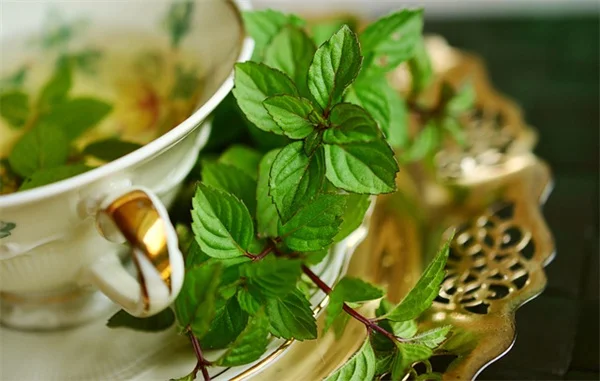 Start a Quick Victory Garden for Kids: 5 Tips Your Kids Will Love